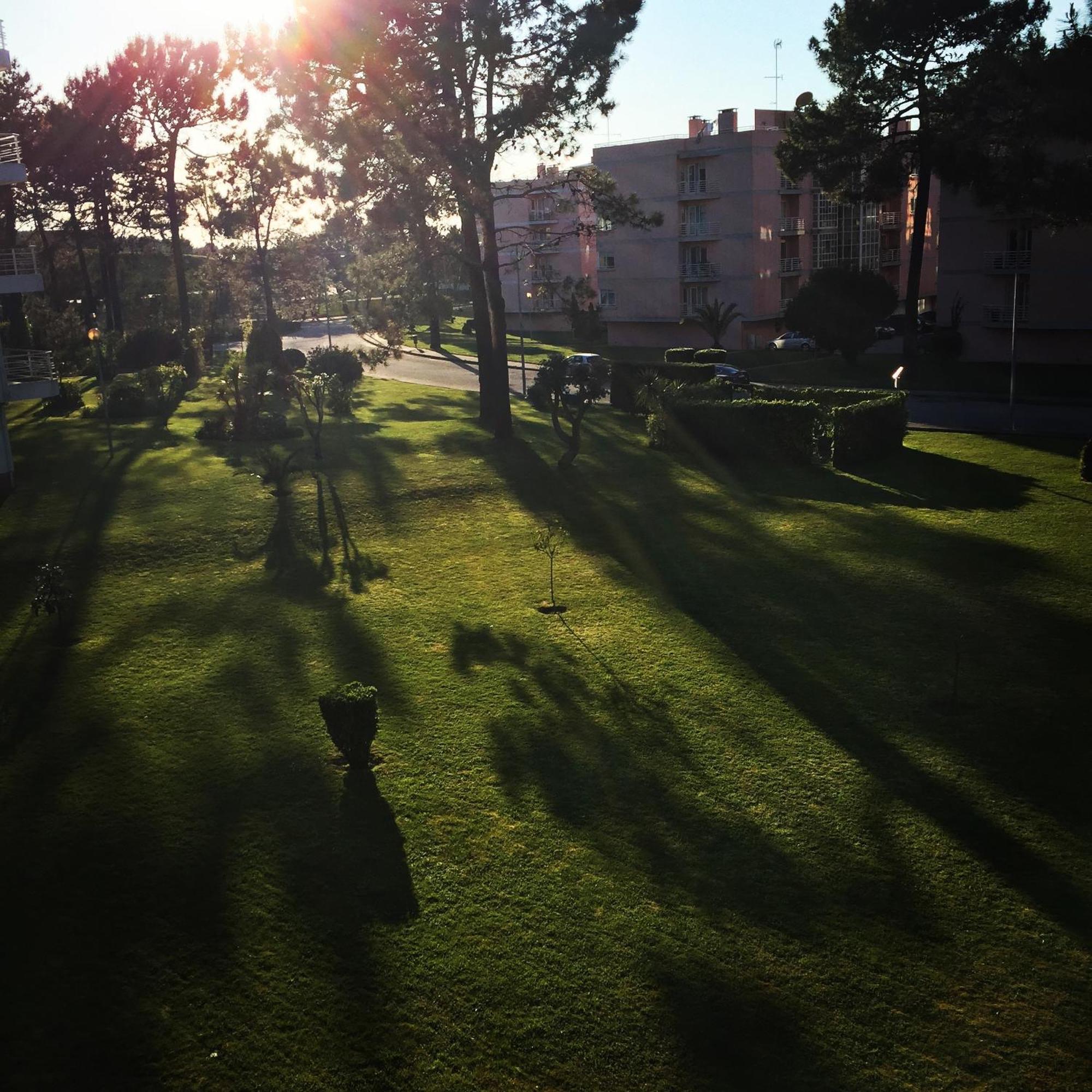 Viana Do Castelo, Cabedelo Beach Apartment エクステリア 写真